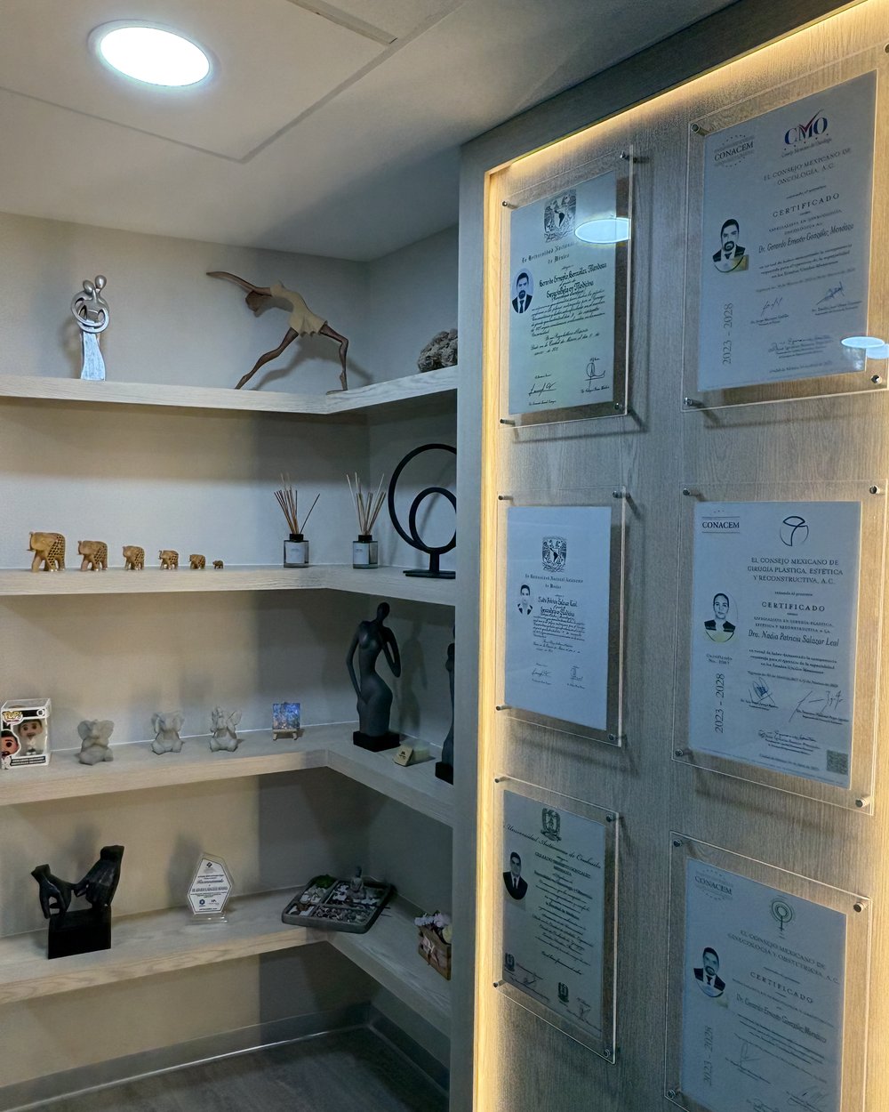 Certificaciones vigentes del Dr. González Mendoza